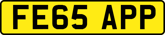 FE65APP