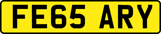 FE65ARY