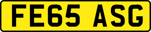 FE65ASG