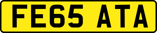 FE65ATA