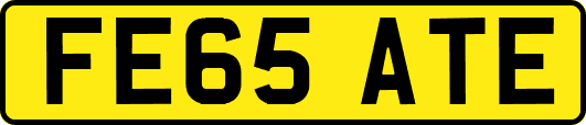 FE65ATE