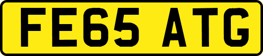FE65ATG