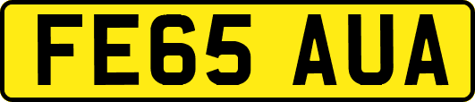 FE65AUA