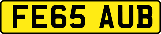 FE65AUB