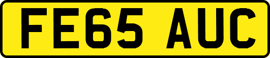 FE65AUC