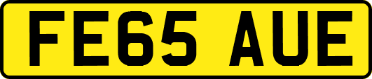 FE65AUE