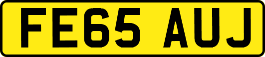 FE65AUJ