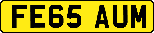 FE65AUM