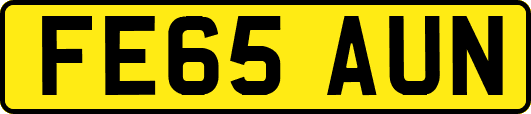 FE65AUN