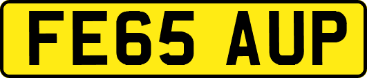 FE65AUP