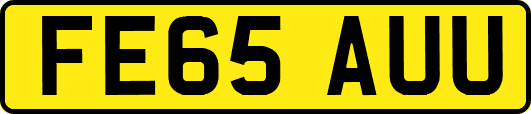 FE65AUU
