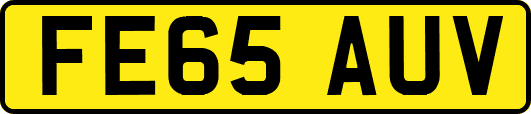 FE65AUV