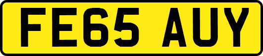 FE65AUY