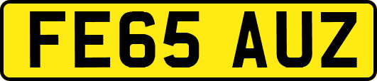 FE65AUZ