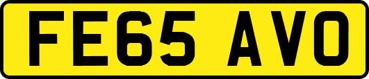 FE65AVO