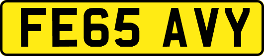FE65AVY