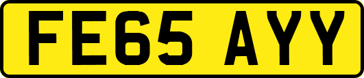 FE65AYY