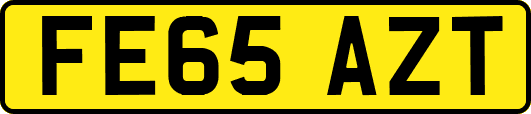 FE65AZT