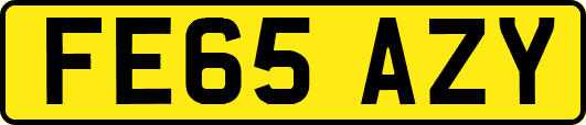 FE65AZY