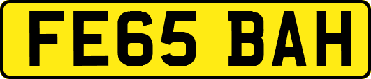 FE65BAH