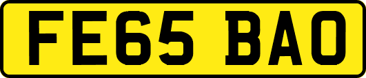 FE65BAO