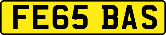 FE65BAS