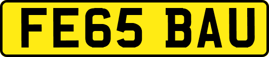 FE65BAU