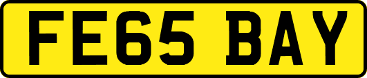 FE65BAY