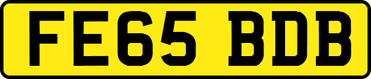 FE65BDB