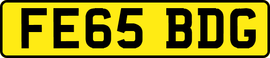 FE65BDG