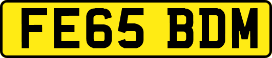 FE65BDM