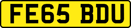 FE65BDU