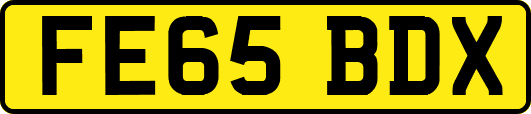 FE65BDX
