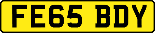 FE65BDY