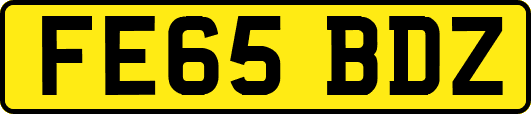 FE65BDZ