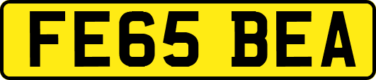 FE65BEA