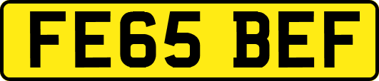 FE65BEF