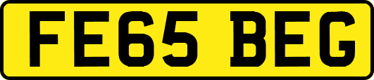 FE65BEG