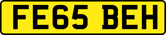 FE65BEH