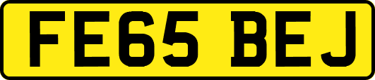 FE65BEJ