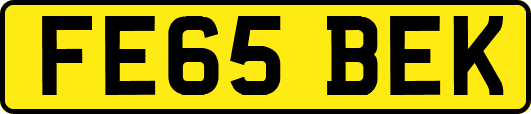 FE65BEK