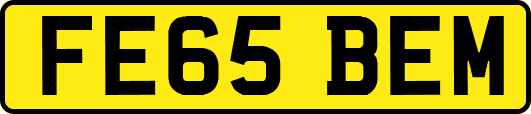 FE65BEM