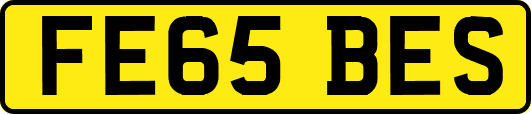 FE65BES