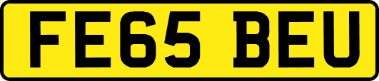 FE65BEU