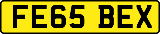 FE65BEX