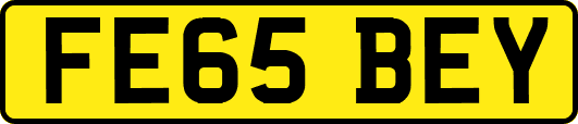 FE65BEY
