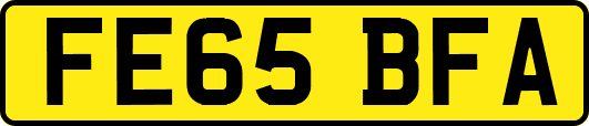 FE65BFA