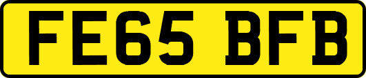FE65BFB
