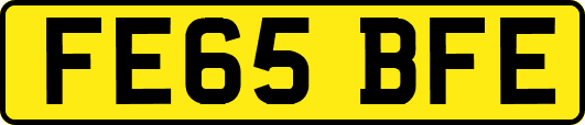 FE65BFE