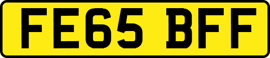 FE65BFF